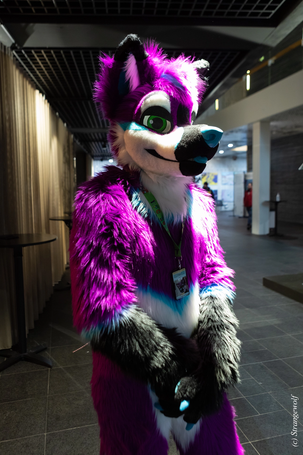 full image 1R3A0162-lr19t.jpg