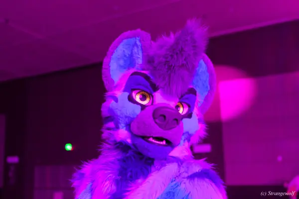 IMG_3296-lr19t.jpg of BLFC/2019/