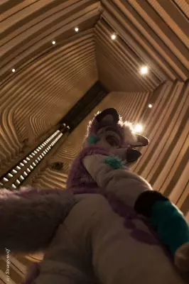 IMG_2222-lr19t.jpg of FWA/FWA2019/