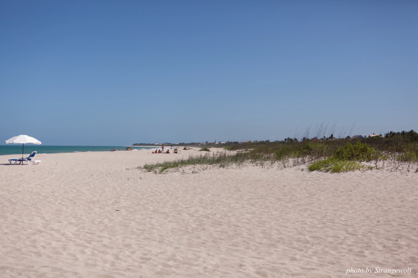 full image IMG_7347-lr16t.jpg