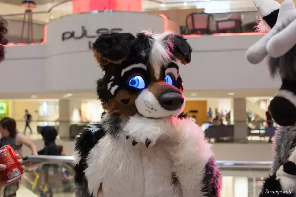 IMG_2057-lr19t.jpg of FWA/FWA2019/