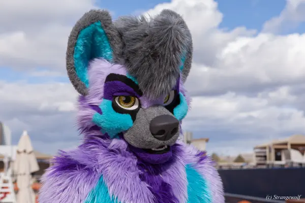 IMG_2944-lr19t.jpg of BLFC/2019/