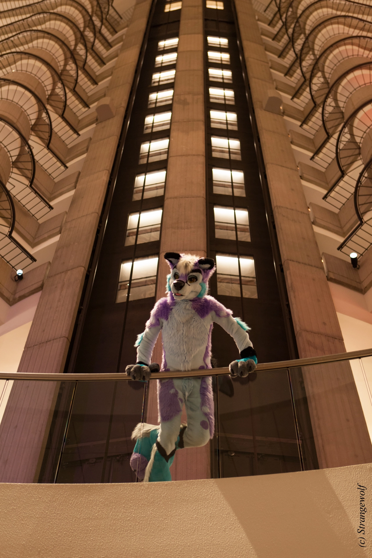 full image IMG_2100-lr19t.jpg