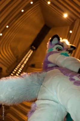 IMG_2224-lr19t.jpg of FWA/FWA2019/