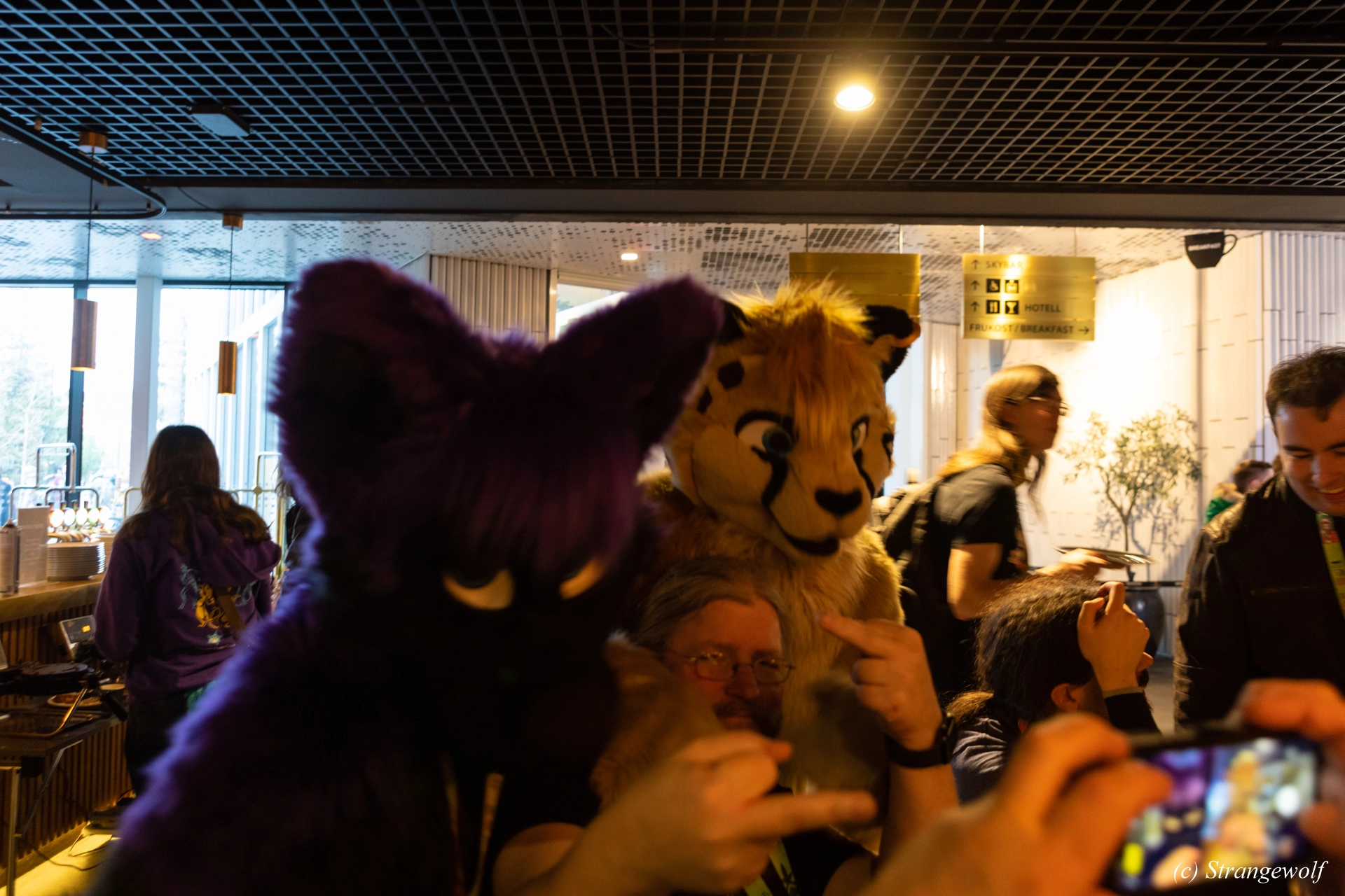 full image 1R3A9044-lr19t.jpg