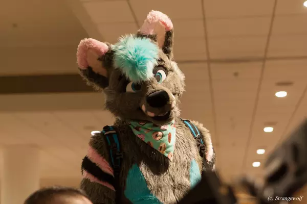 IMG_1561-lr19t.jpg of FWA/FWA2019/