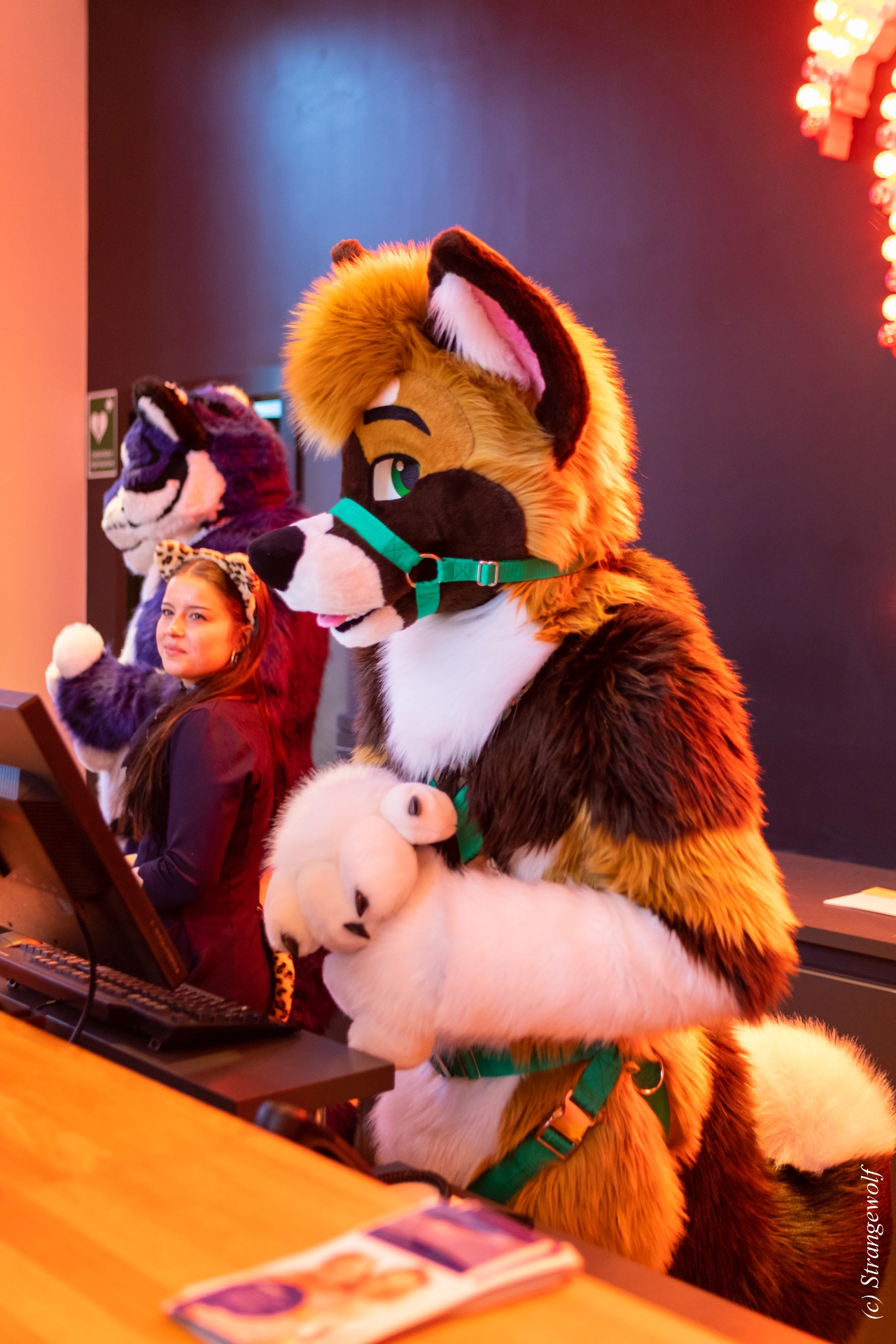 full image 1R3A9875-lr19t.jpg