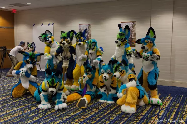 IMG_7810-lr16t.jpg of FWA/FWA2015/