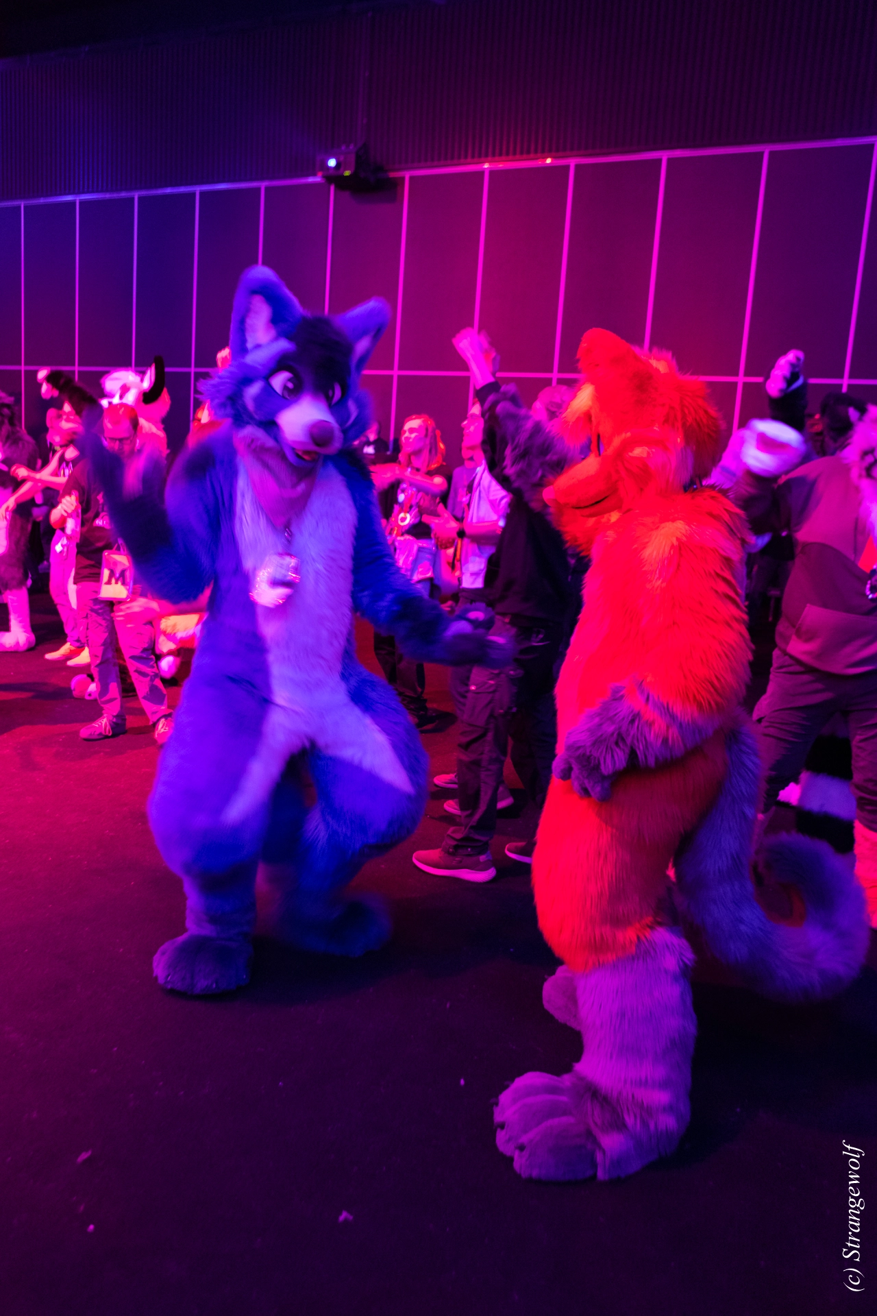 full image 1R3A9761-lr19t.jpg