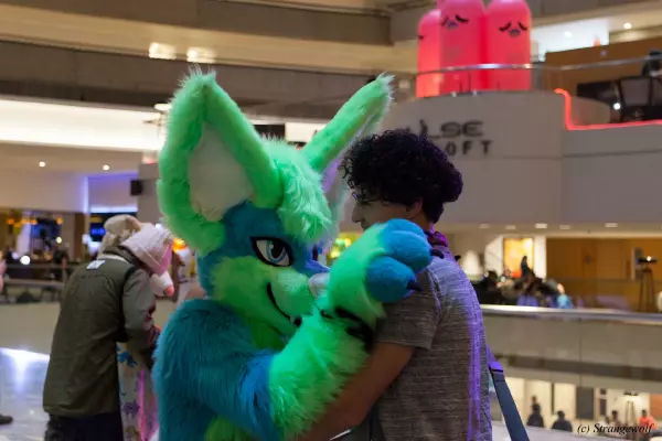 IMG_2368-lr19t.jpg of FWA/FWA2019/