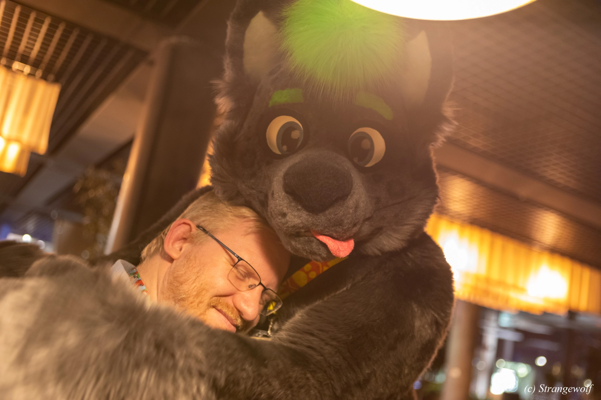 full image 1R3A0013-lr19t.jpg