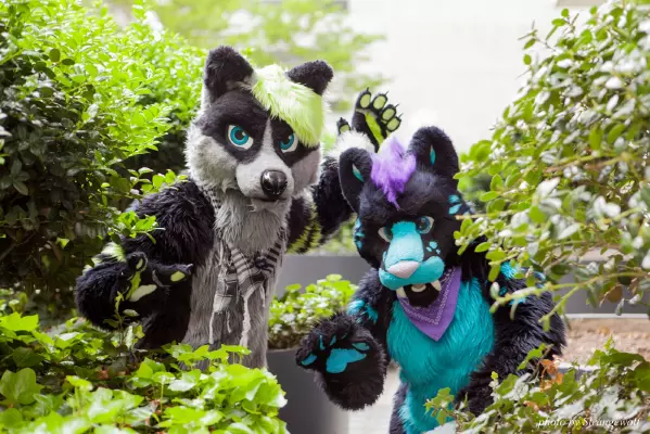 IMG_7719-lr16t.jpg of FWA/FWA2015/