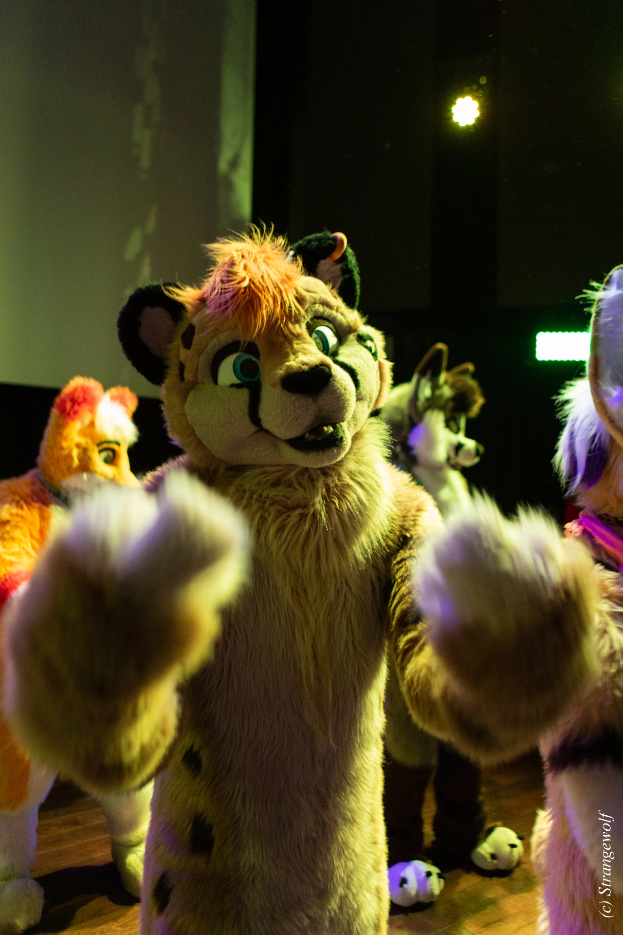 full image 1R3A9613-lr19t.jpg