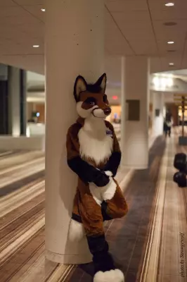 IMG_5910-lr16t.jpg of FWA/FWA2016/