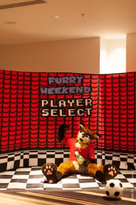 IMG_2763-lr16t.jpg of FWA/FWA2017/