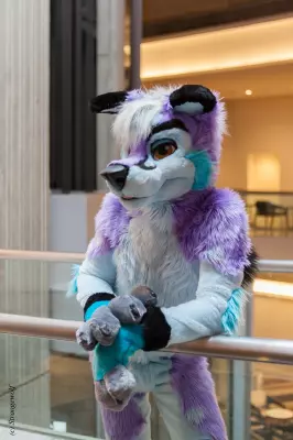 IMG_2097-lr19t.jpg of FWA/FWA2019/