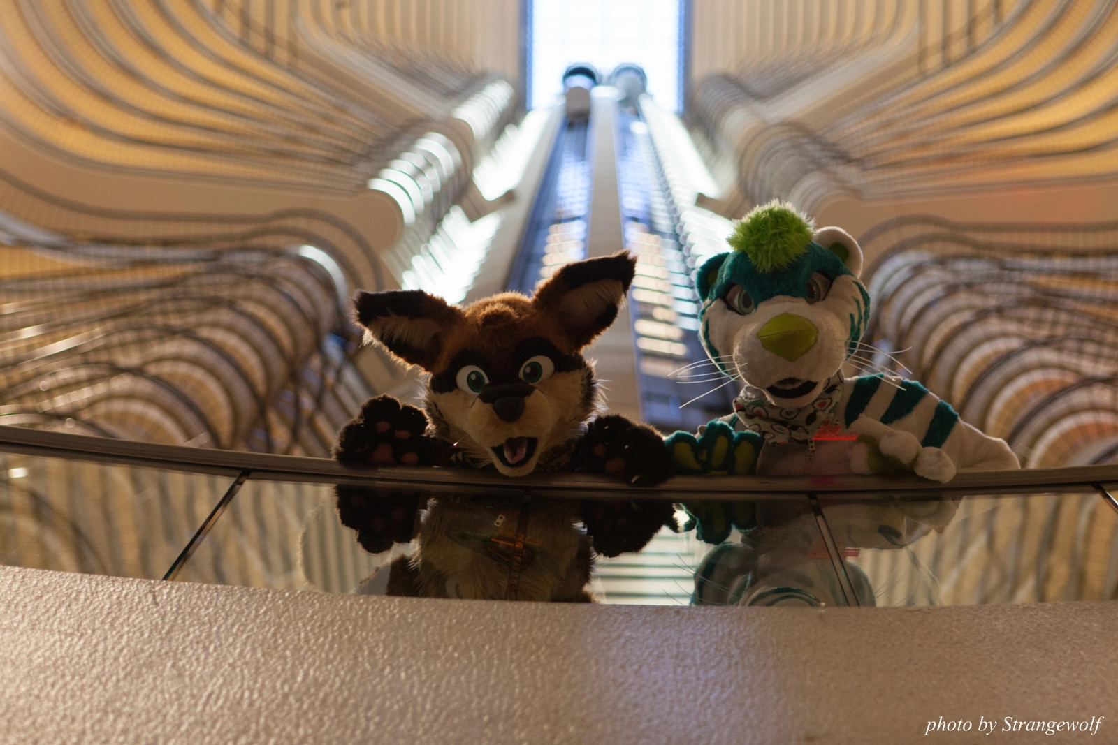 full image IMG_2914-lr16t.jpg