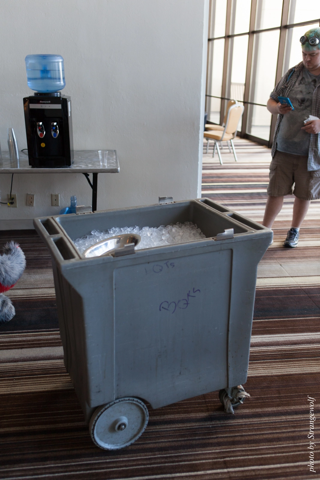 full image IMG_2829-lr16t.jpg