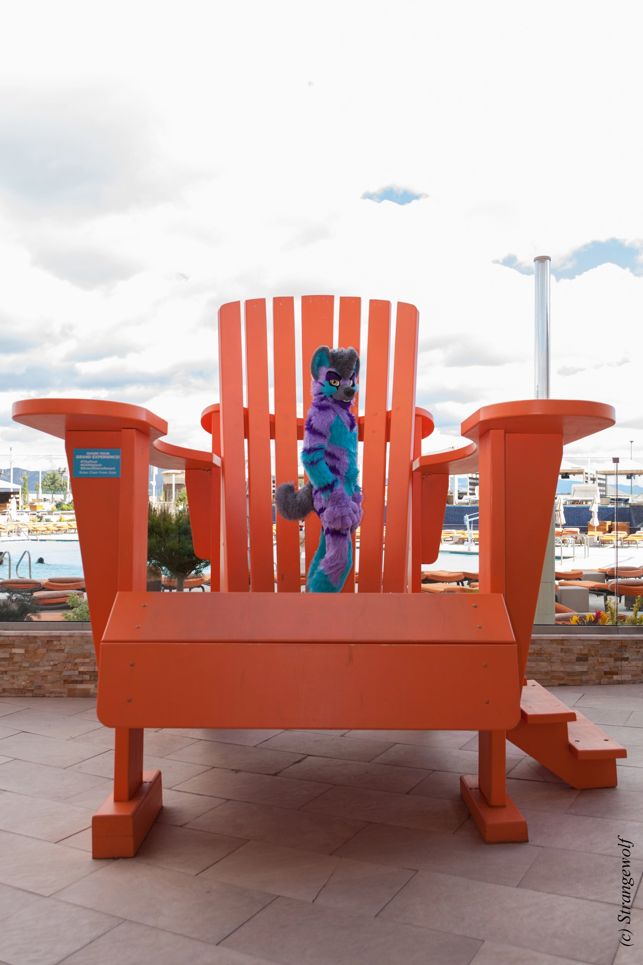 full image IMG_2896-lr19t.jpg