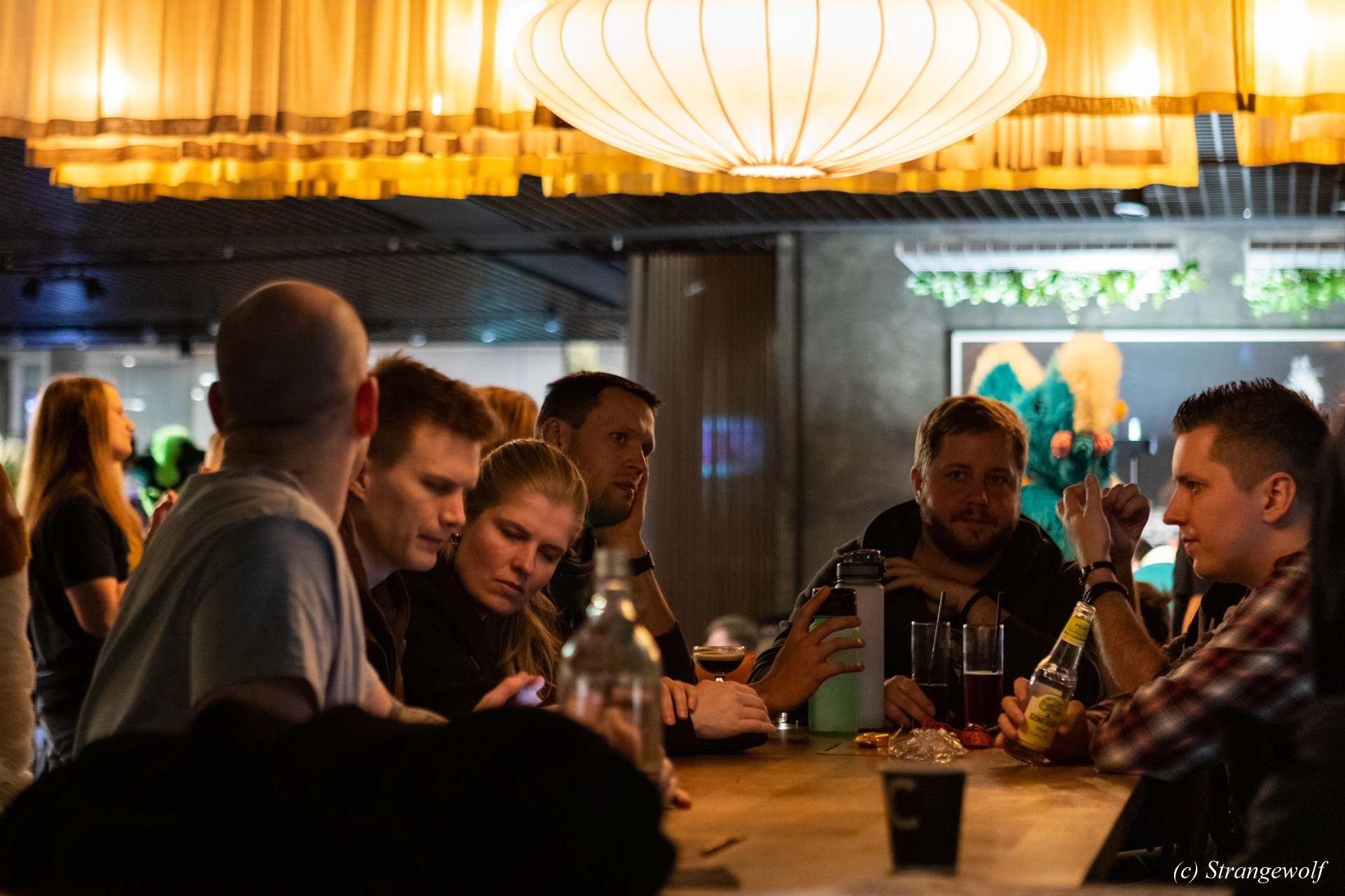 full image 1R3A9930-lr19t.jpg