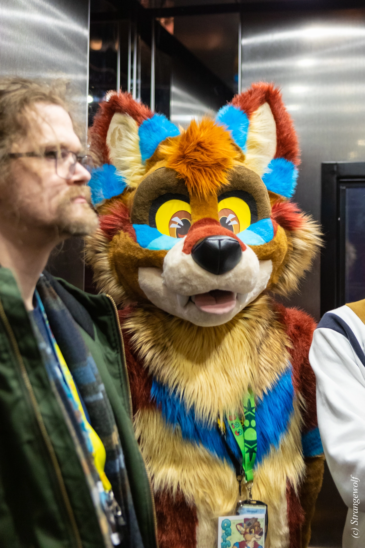 full image 1R3A9939-lr19t.jpg