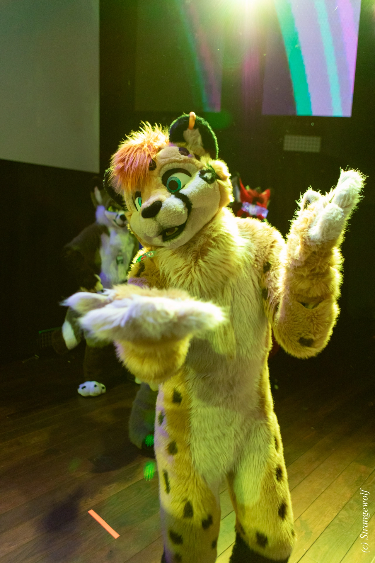 full image 1R3A9535-lr19t.jpg