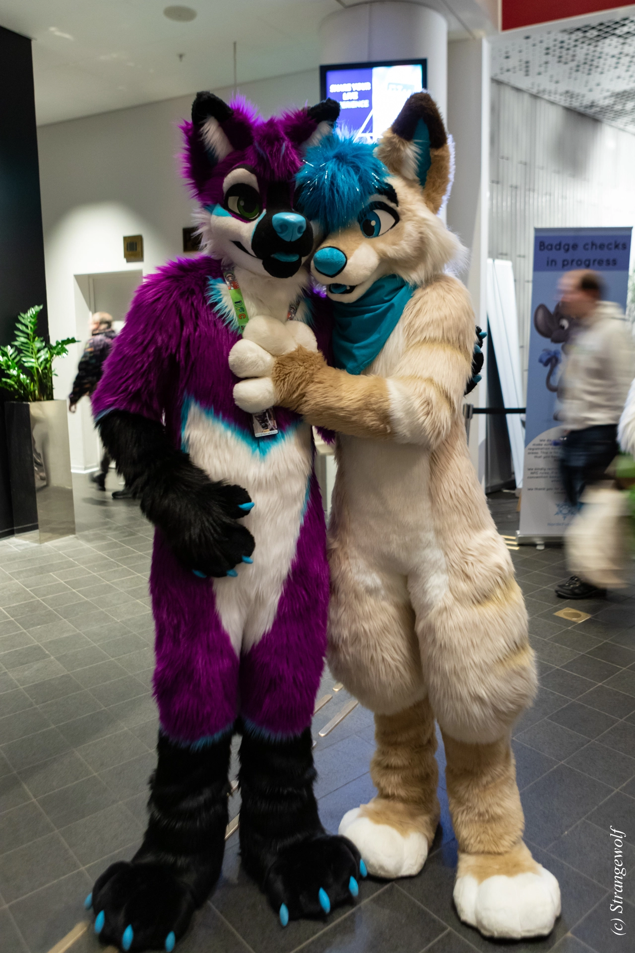 full image 1R3A0018-lr19t.jpg