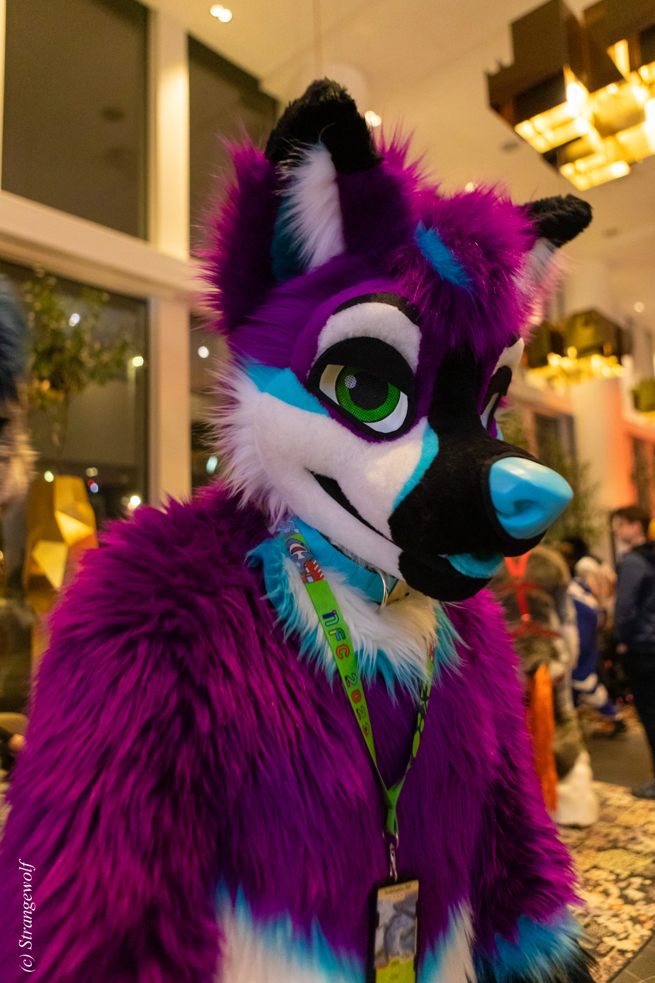 full image 1R3A9289-lr19t.jpg