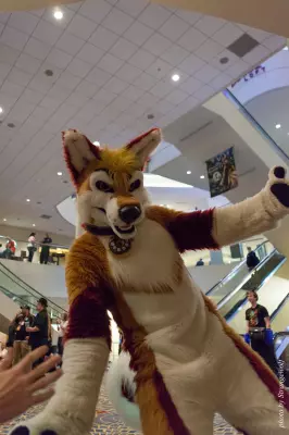 IMG_7378-lr16t.jpg of FWA/FWA2015/