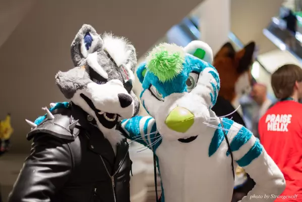IMG_2746-lr16t.jpg of FWA/FWA2017/
