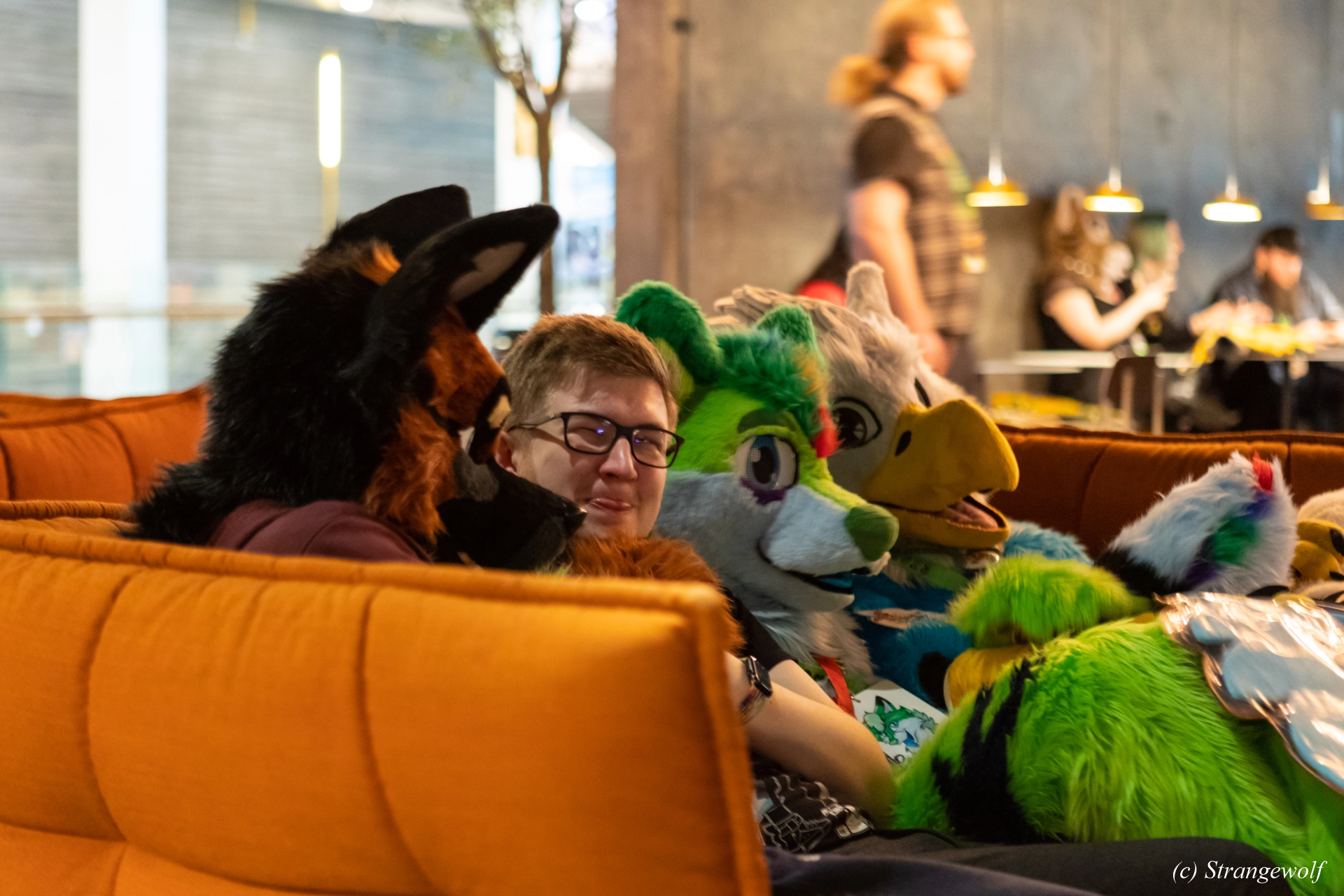 full image 1R3A0003-lr19t.jpg