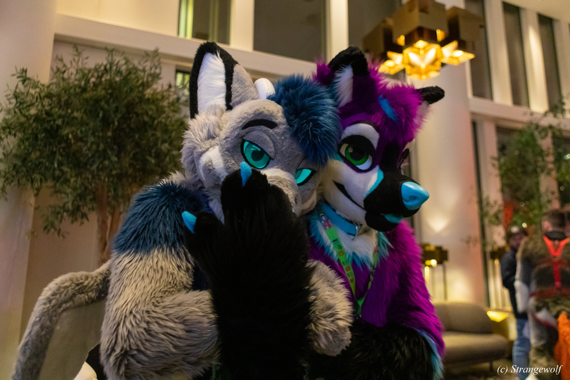 full image 1R3A9294-lr19t.jpg