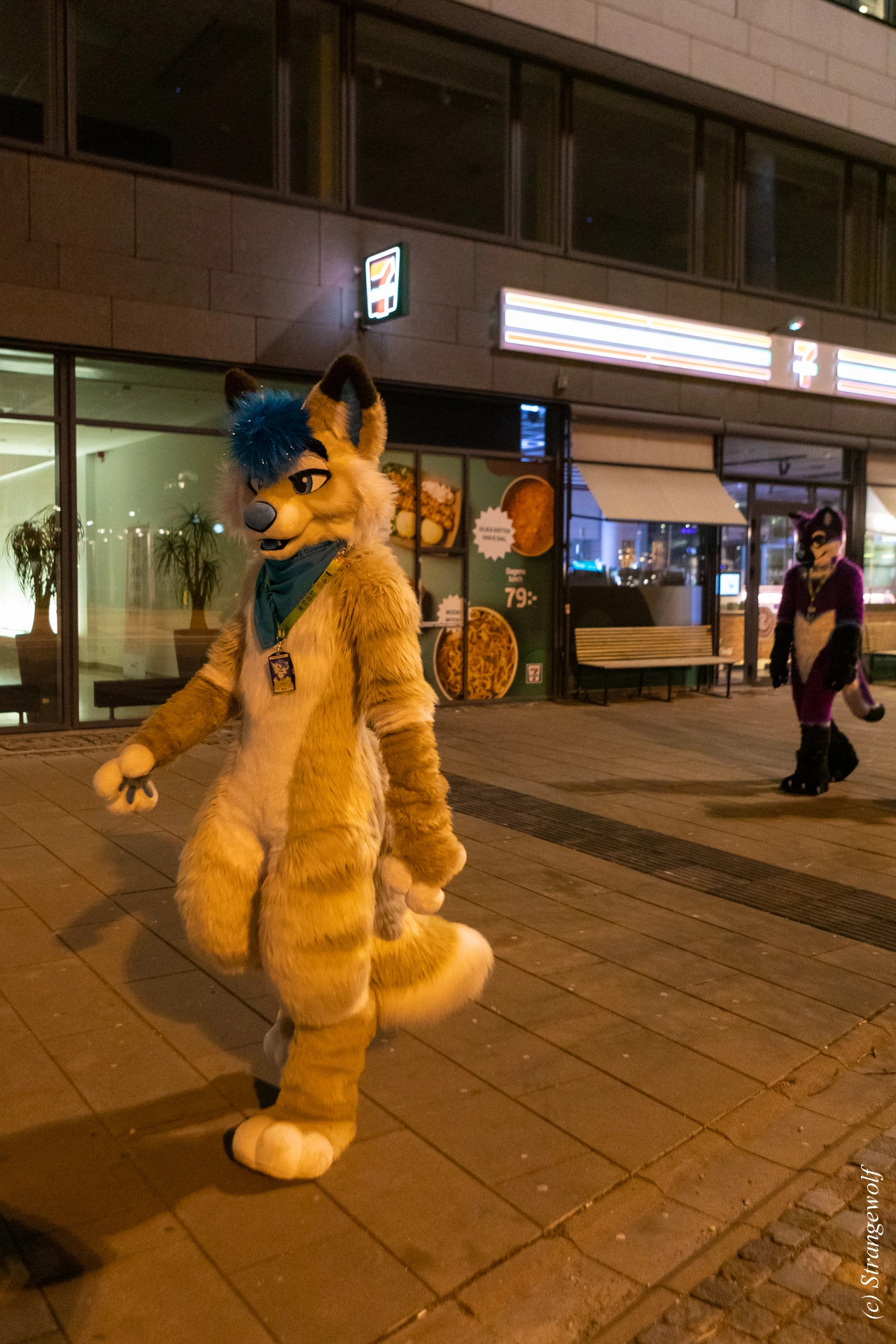 full image 1R3A9242-lr19t.jpg