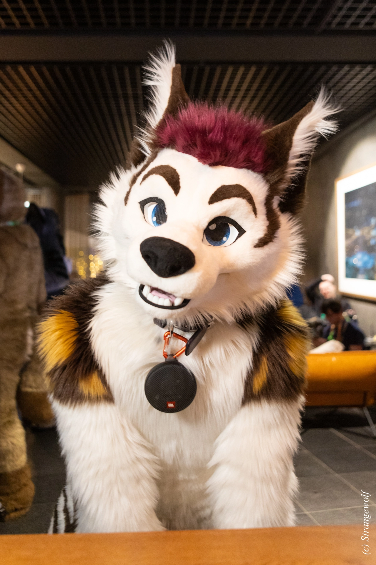 full image 1R3A9075-lr19t.jpg