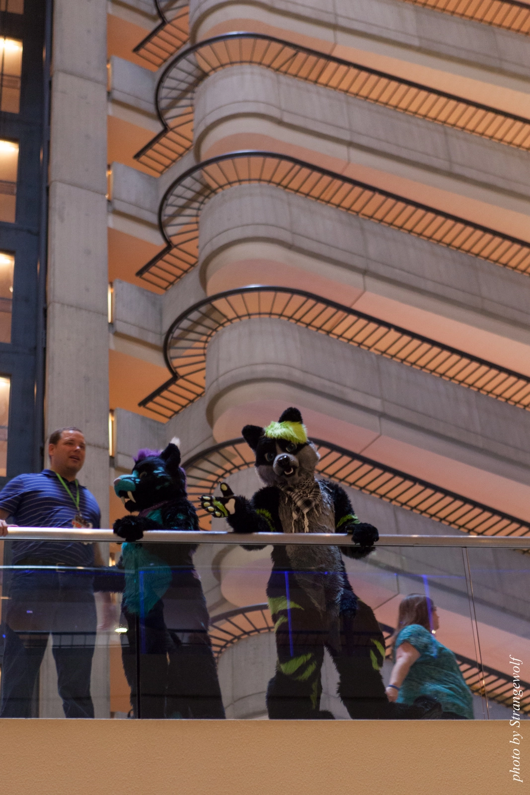 full image IMG_7635-lr16t.jpg