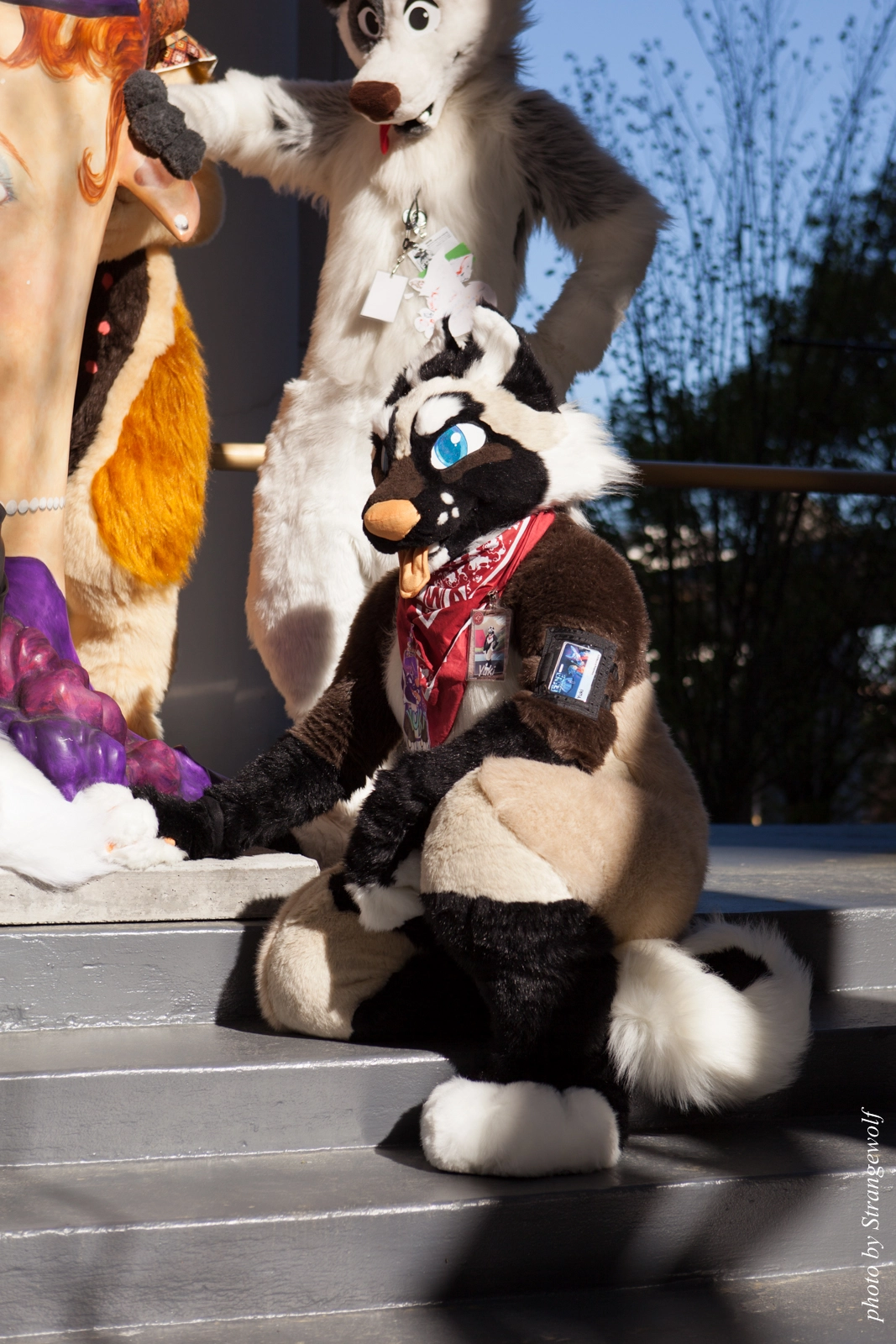 full image IMG_6170-lr16t.jpg