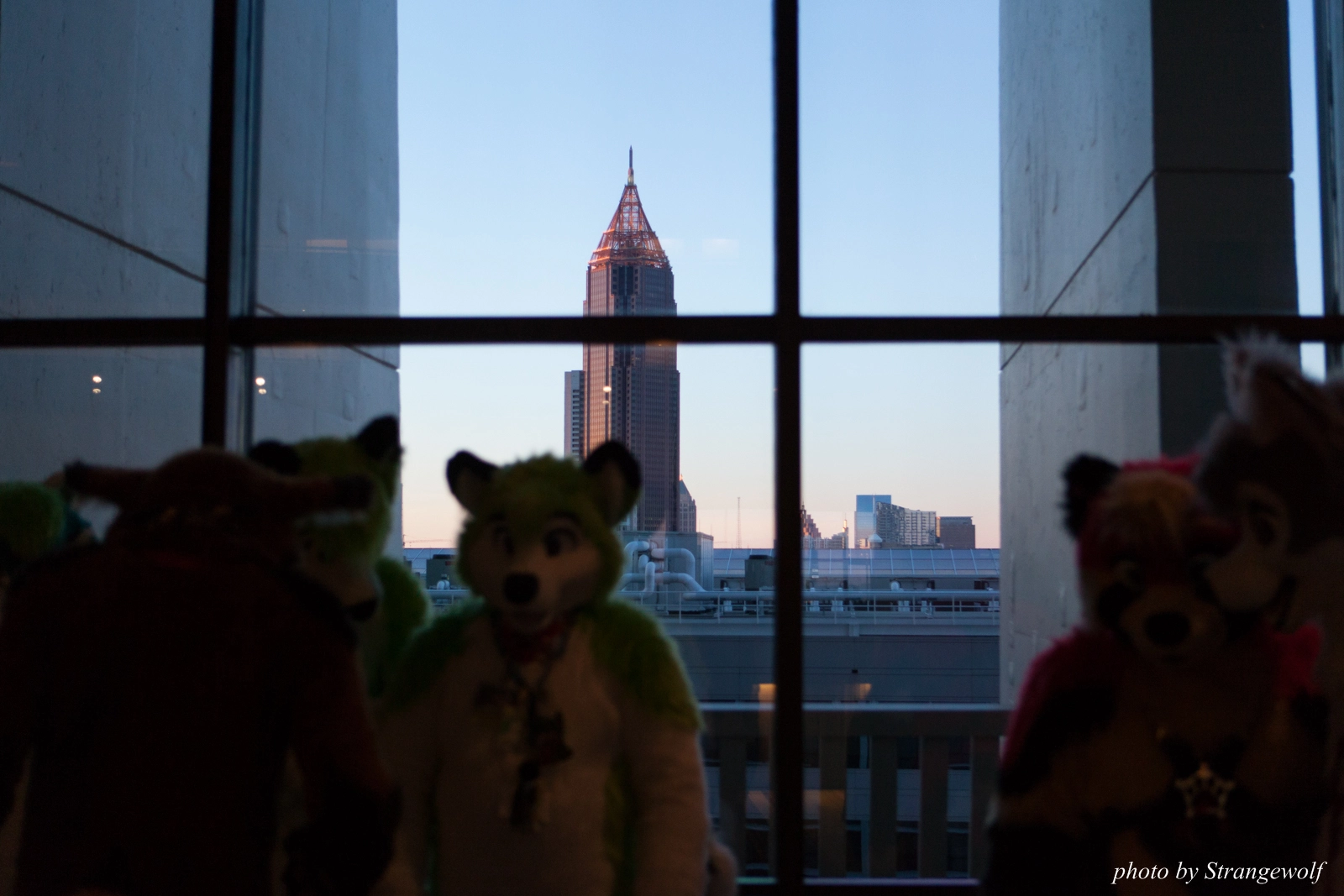 full image IMG_2926-lr16t.jpg