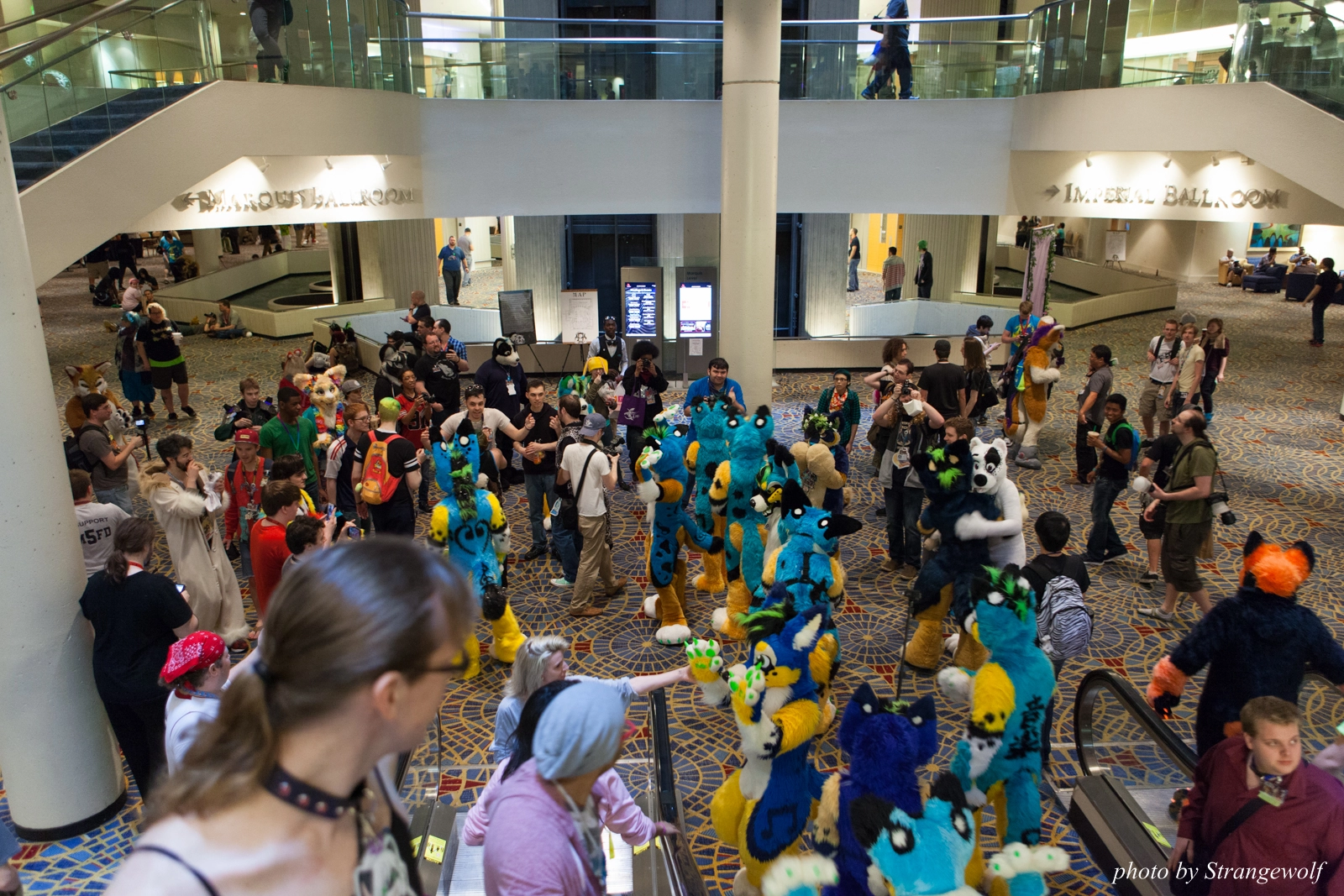 full image IMG_7825-lr16t.jpg