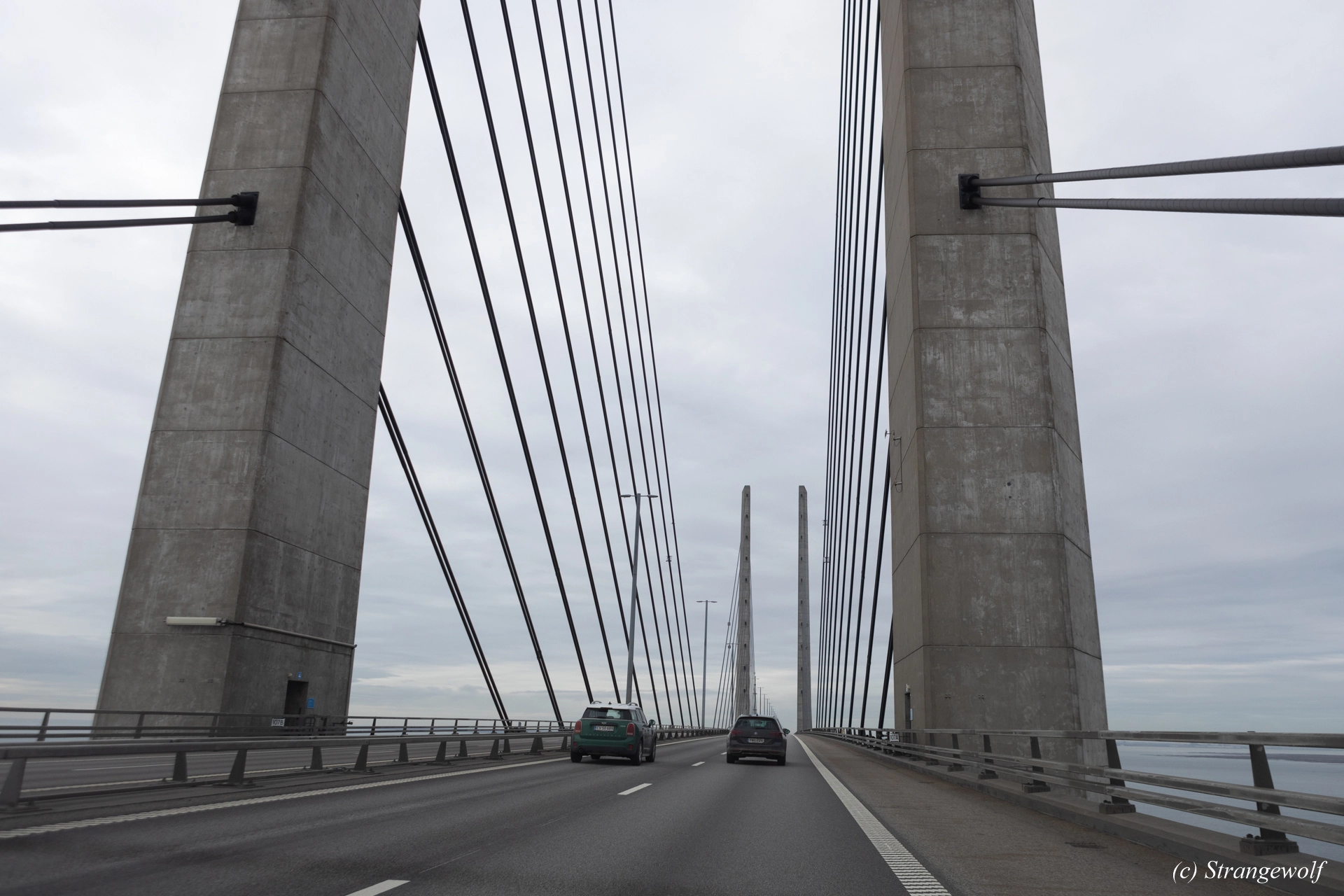 full image 1R3A0176-lr19t.jpg