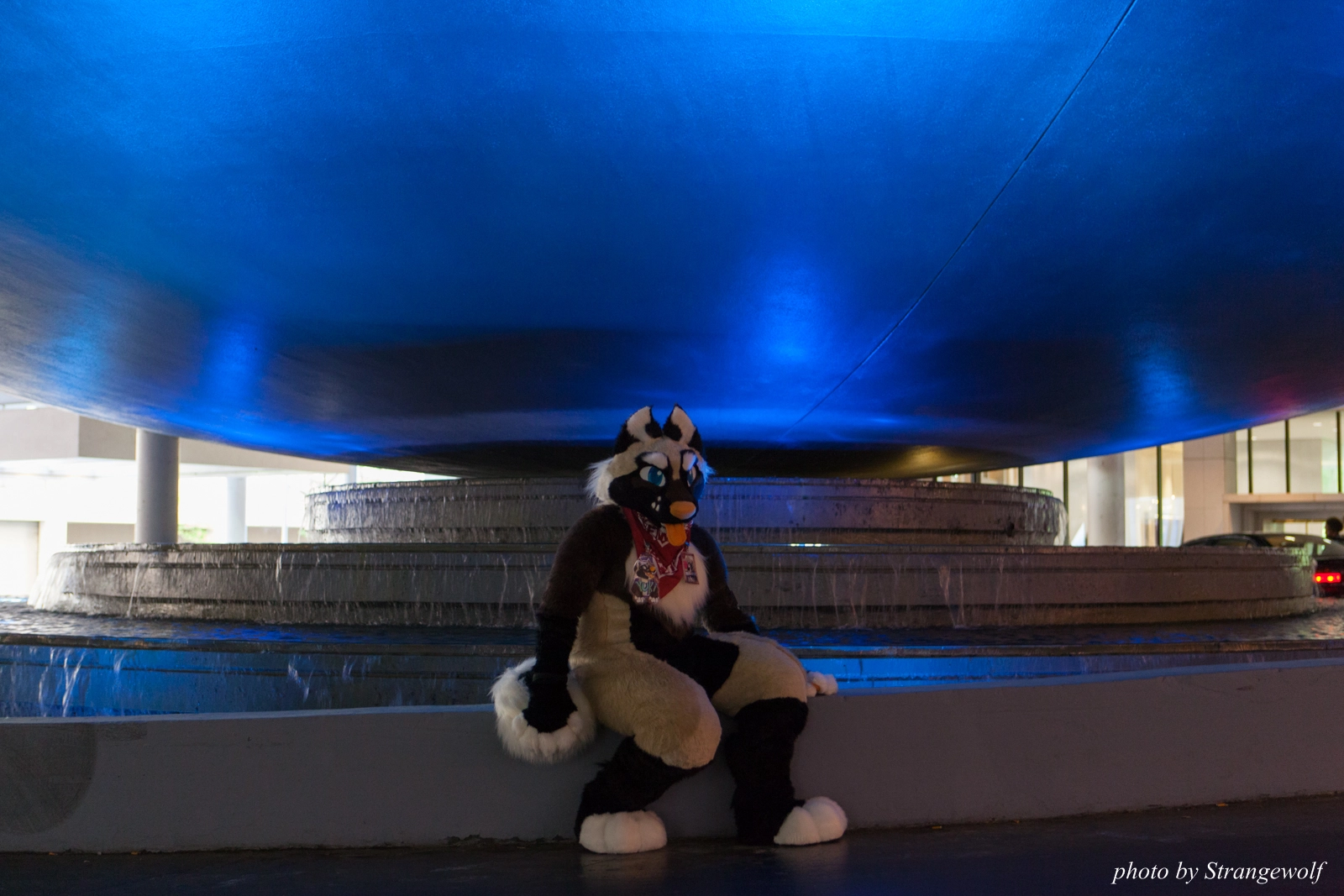 full image IMG_6240-lr16t.jpg