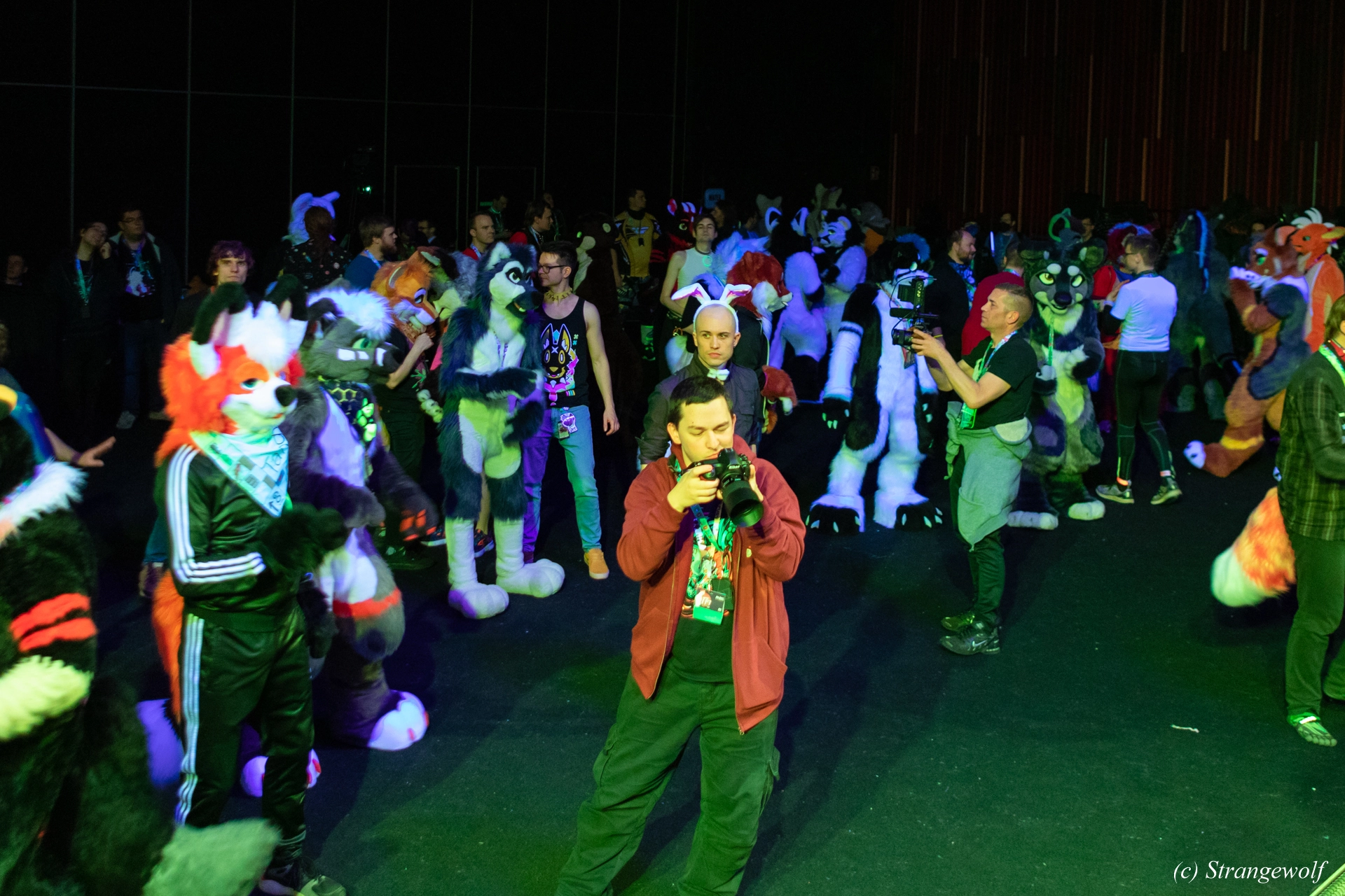 full image 1R3A9575-lr19t.jpg