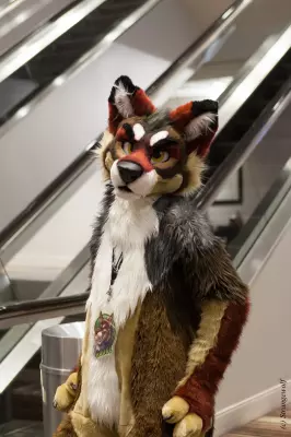 IMG_1946-lr.jpg of FWA/FWA2019/