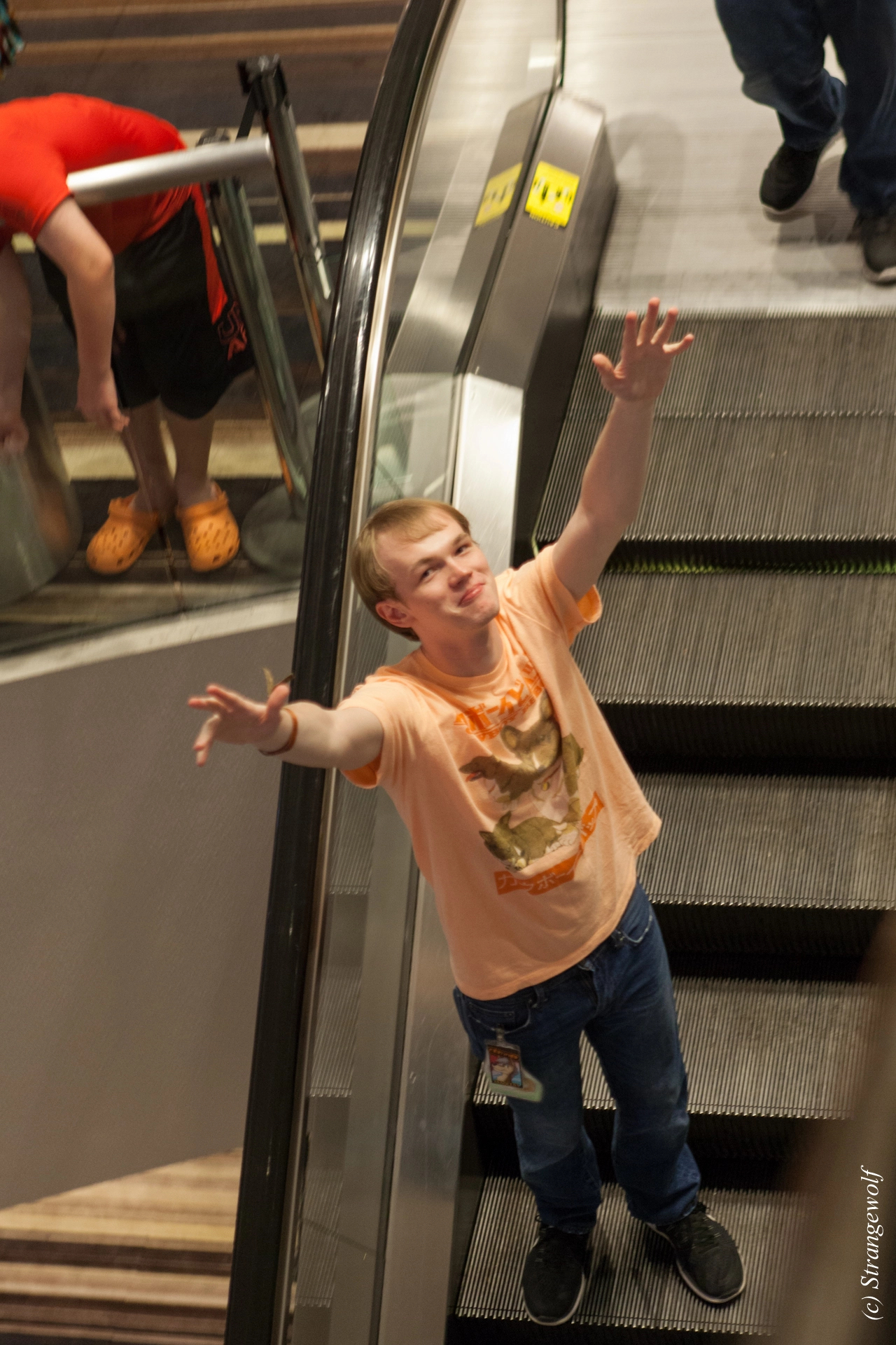 full image IMG_2447-lr19t.jpg