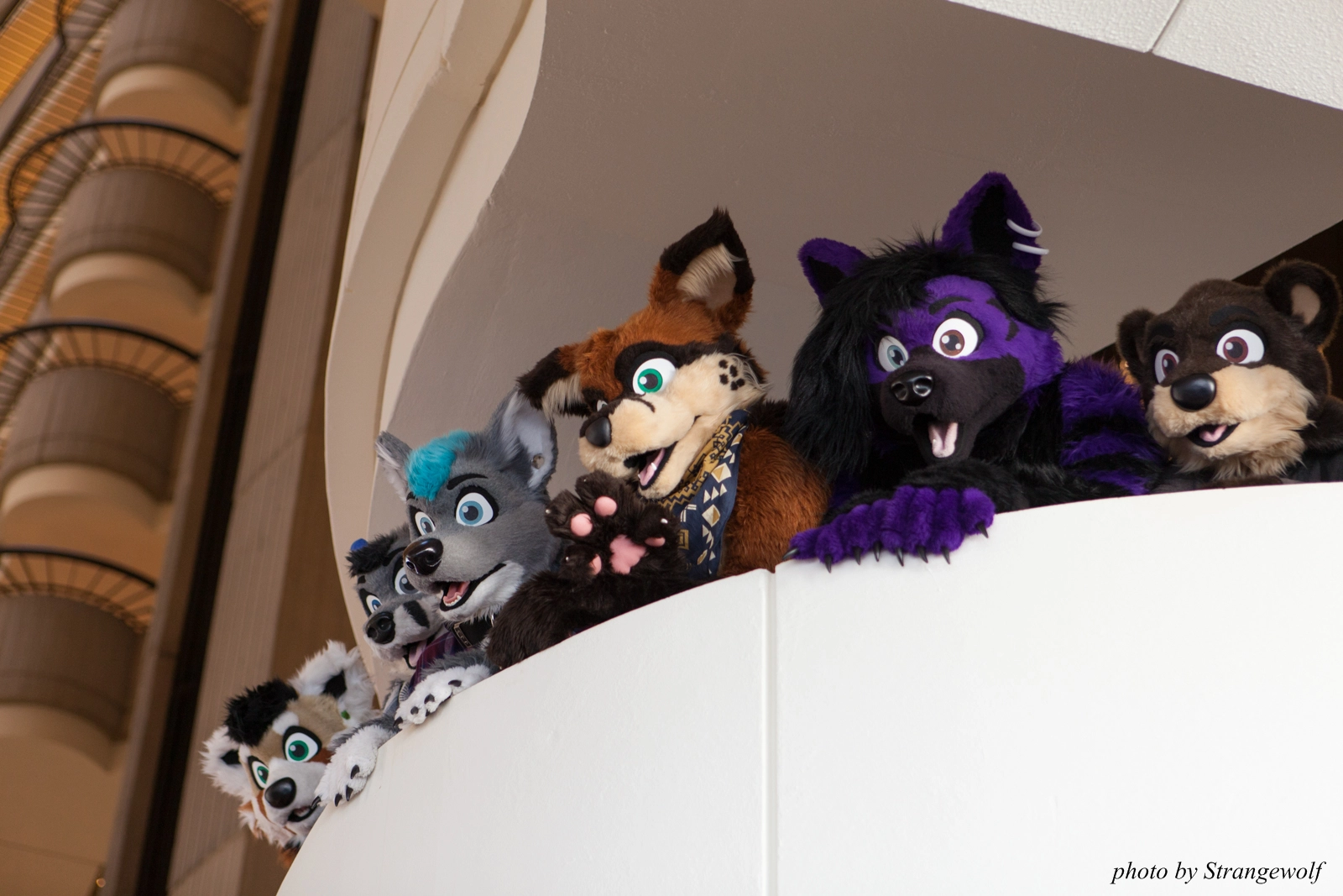 full image IMG_2874-lr16t.jpg