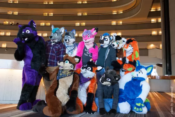 IMG_2861-lr16t.jpg of FWA/FWA2017/