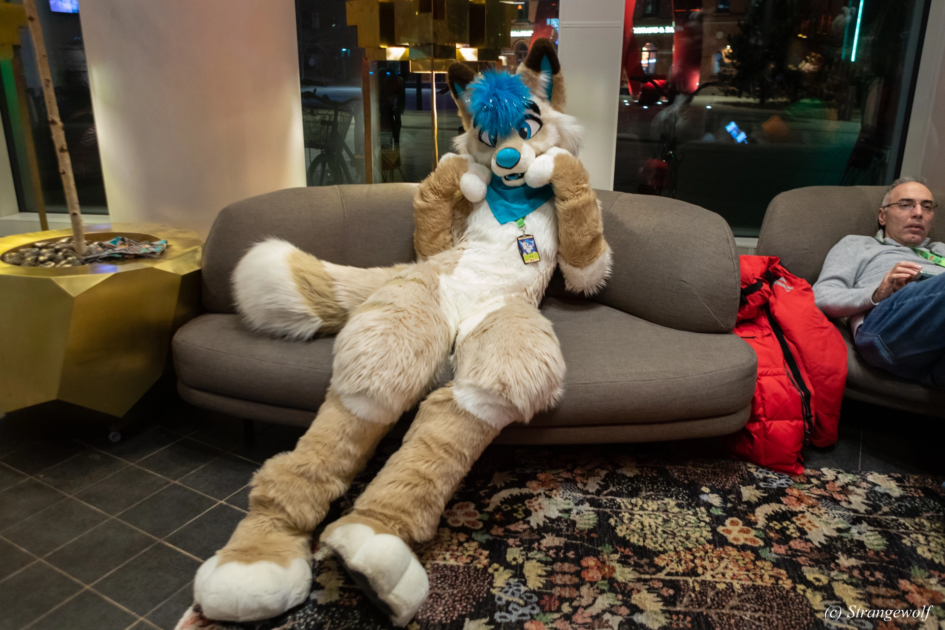 full image 1R3A0101-lr19t.jpg