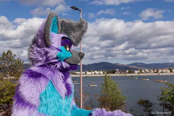 IMG_2972-lr19t.jpg of BLFC/2019/