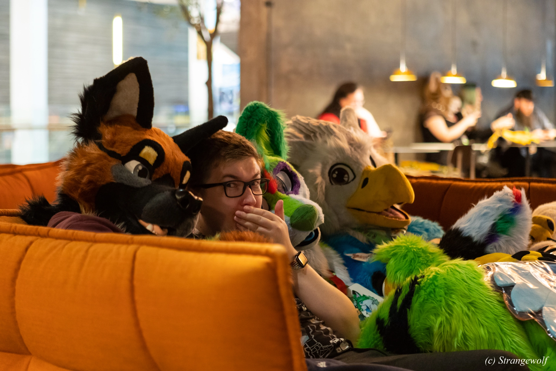 full image 1R3A9995-lr19t.jpg