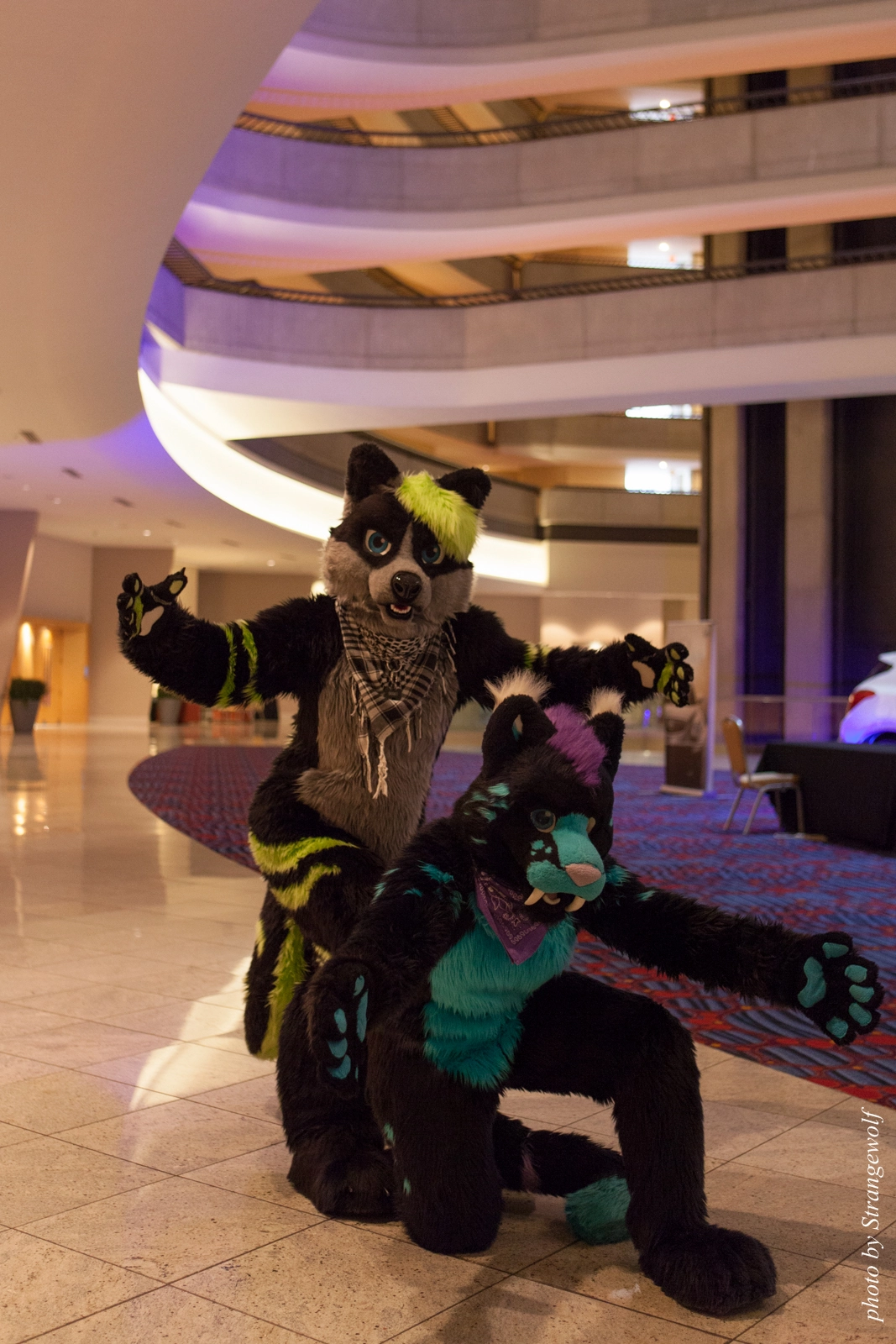 full image IMG_7611-lr16t.jpg