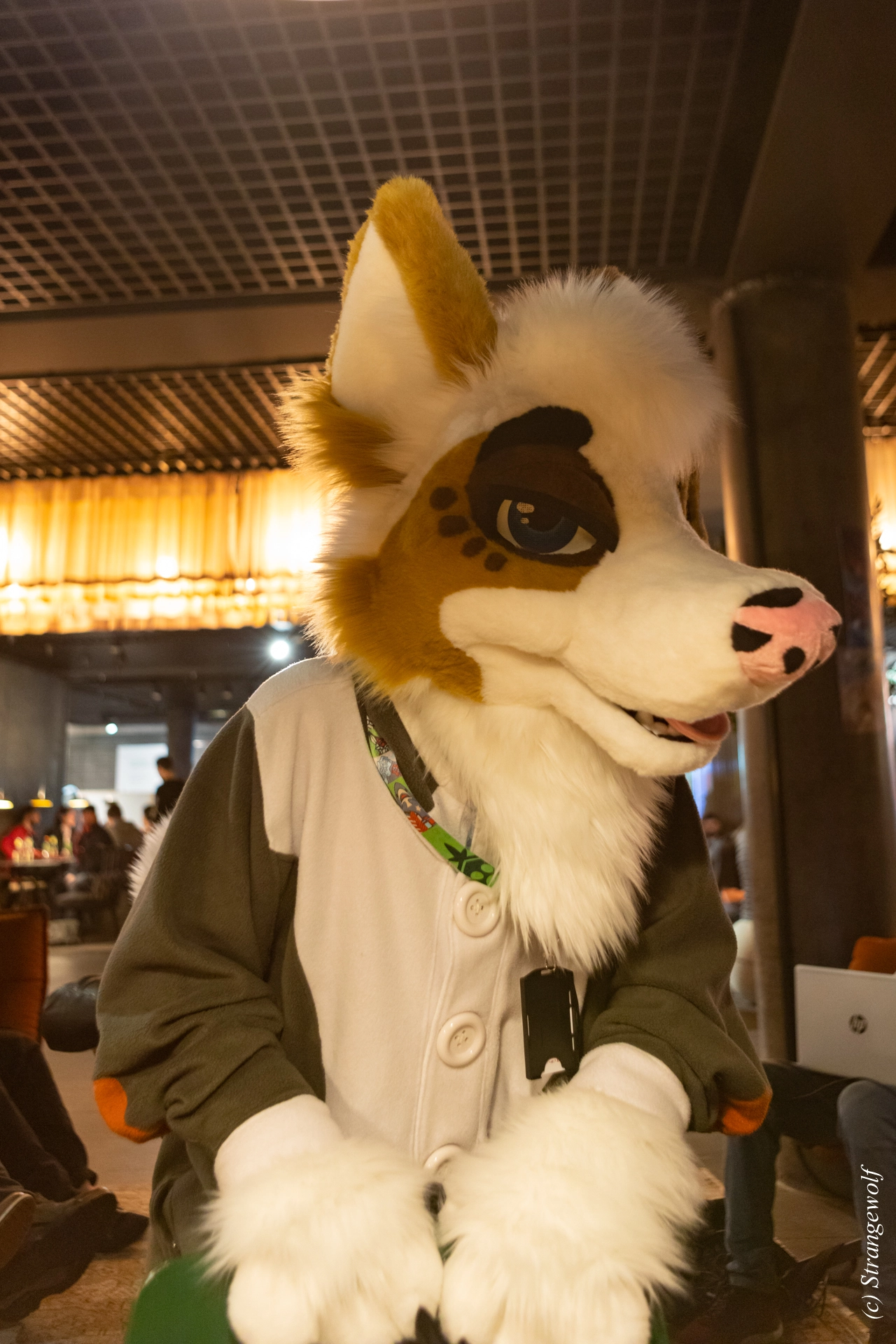 full image 1R3A9966-lr19t.jpg